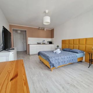 Perfect Stay - Apartament Horzyca 14 Toruń (4)