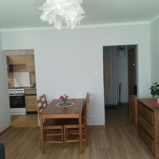 Apartament Parkowy Mrągowo (5)