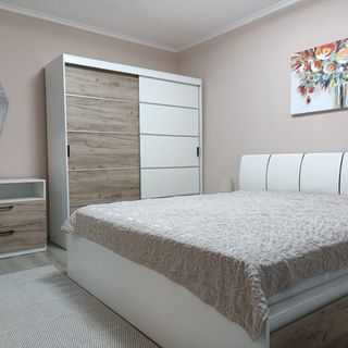 Serenity Apartment Băile Herculane (5)