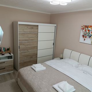 Serenity Apartment Băile Herculane (3)