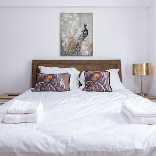 Colour Studios Iași (2)