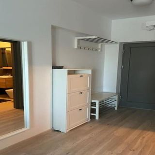 Apartament Elegant Park Copou 2 rooms AB Homes Iași (4)