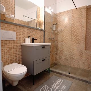 Bubbles Studio with Terrace Sinaia (3)