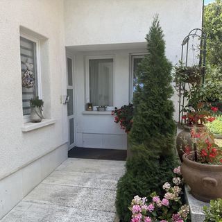 Erika & Gábor ART LOFT Nagykovácsi (2)