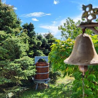 Sol Invictus Vendégház Zalahaláp (4)