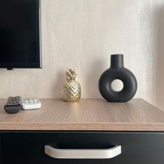 Apartament Jadis 2 Oradea (5)