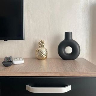 Apartament Jadis 2 Oradea (5)