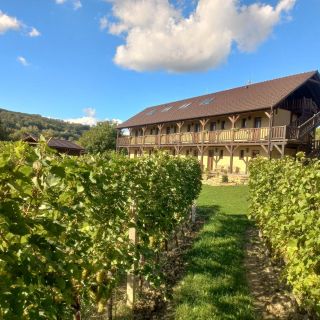 Penzion Ve Vinohradě (2)