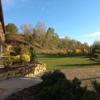 Penzion Ve Vinohradě (4)