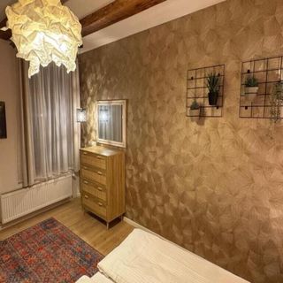 Apartament Seek and Hide - Marko's Dream Hideaway Brașov (5)
