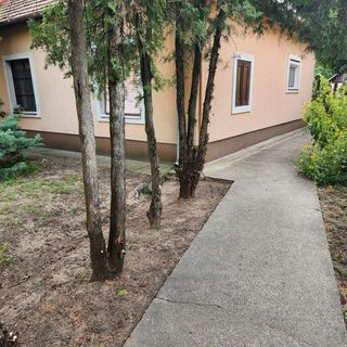 Friendly Guesthouse Kecskemét (5)