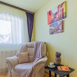 Lavanda Apartment Sighișoara (5)