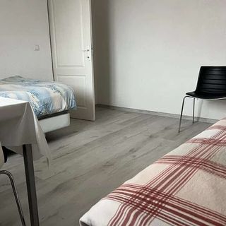 Motel Sara Zukunft Iernut (3)