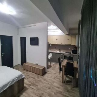 Brizza Apartments 1 Mamaia-Sat (3)