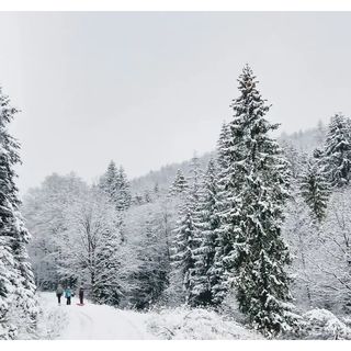 Apartamenty Siedlisko Żywiec (4)