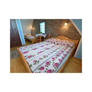 Pod Jelonkiem- pokoje Czarna Góra (2)