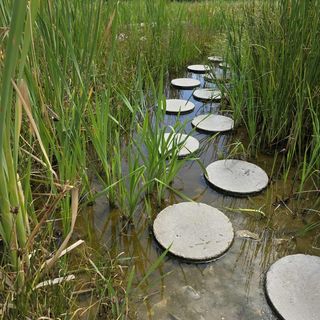 Igazgyöngy Apartman Zalakaros (5)