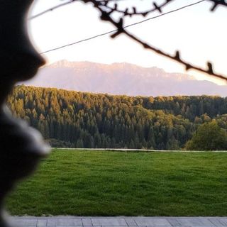 Cabana Aftăr Hills Poiana Mărului (4)