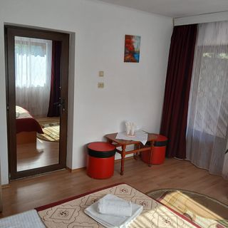 Casa Bogdan Buşteni (5)