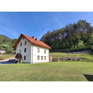 Sosnowy Zakątek Piwniczna Zdrój (5)