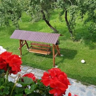 Pensiunea Codruta Crasna (4)