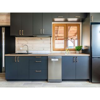 Domki letniskowe Piamola - Bryza Kępy Kobyla Kępa (5)