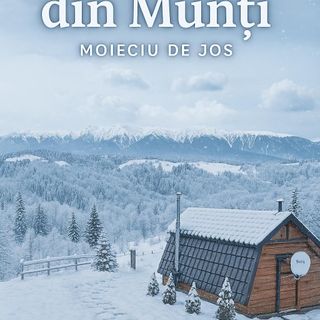 Căbănuța din munți Moieciu de Jos (2)