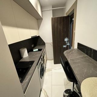 Zlata Vuia Loft Apartments 14 Suceava (3)