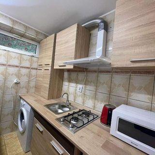 Zlata Tiny Home Suceava (4)