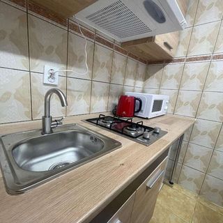 Zlata Tiny Home Suceava (5)