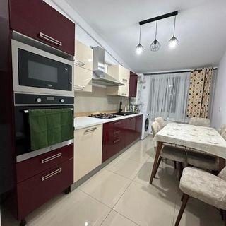 Zlata Comfort Apartment Suceava (4)