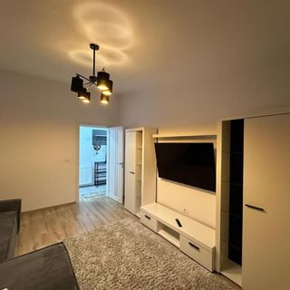 Zlata Comfort Apartment Suceava (5)