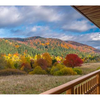 Domki Krzywy Zakątek Cisna (5)