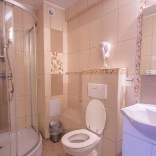 Vila Hermannstadt INN Sibiu (5)