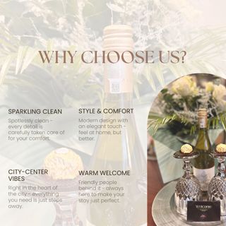 VOK Luxury Home I City Loft Arad (2)