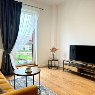 Apartament Zagrodowa Oświęcim (3)