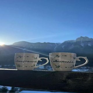 Vila Florilor Buşteni (4)