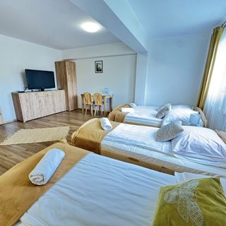 Willa Wioletta Tylmanowa (3)