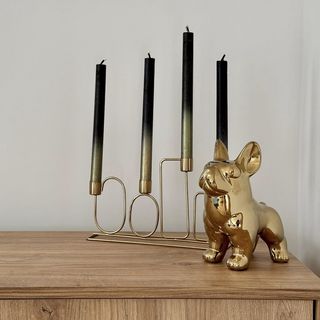 Willa Tulipanowa - AP 10 Przeciszów (4)