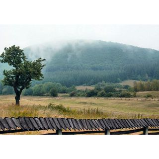 Dworek Myśliwski Laskówka (5)