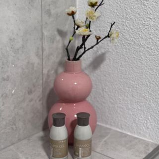 Apartament 1 Ploiești (2)