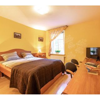 Willa Alexander Lądek- Zdrój (5)