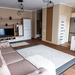 Apartament Lux Papiu Târgu Mureș (3)