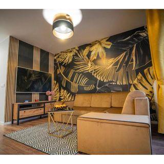 Apartament w Cieplicach Gold Jelenia Góra (2)