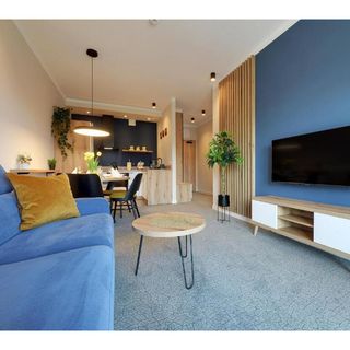 Apartament Widokowy VIP Świeradów Zdrój (2)