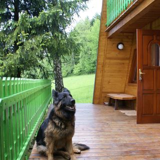 Domek Na Skale Sułkowice (5)