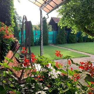 Casa Lui Moșu Alba-Iulia (4)