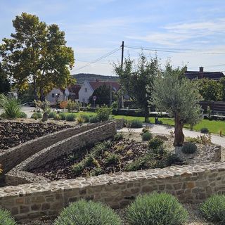 Villa Olea Apartman Tihany (3)