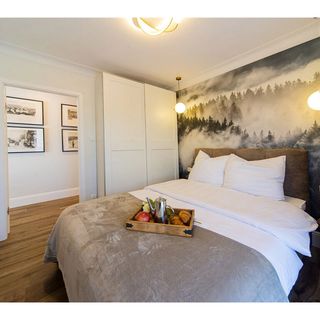 Apartament Shiny Rock Szklarska Poręba (4)