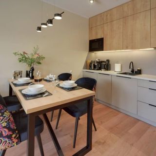 Apartament Vip Dębowy 1 - Stone Hill Szklarska Poręba (2)